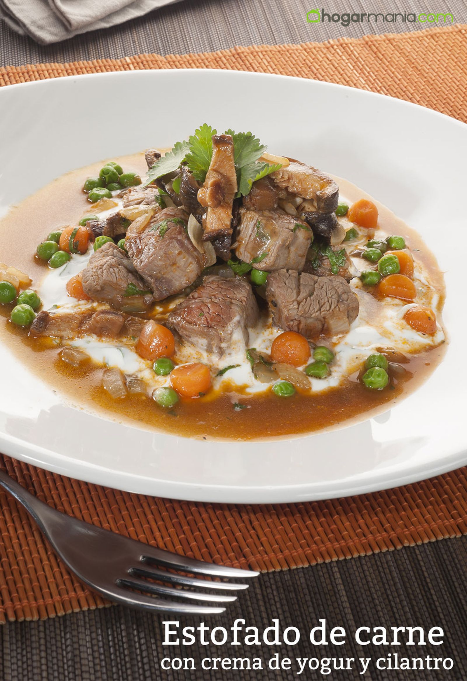 CABI0068 estofado de carne con salsa yogur y cilantro vertical CABI0068 estofado de carne con salsa yogur y cilantro vertical
