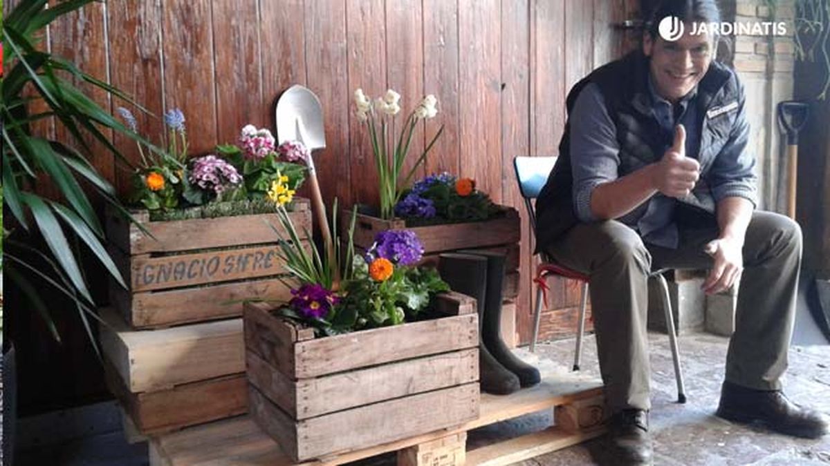 reutilizar cajas de fruta brico 821 jardinatis