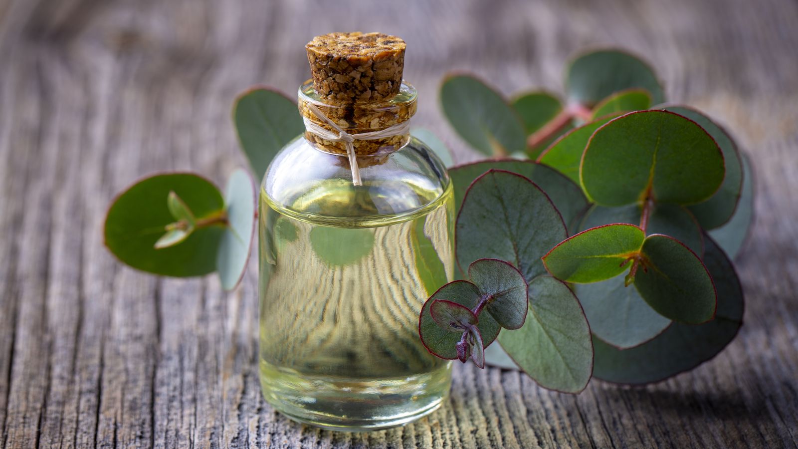 Los aceites esenciales tienen propiedades antibacterianas y antifúngicas