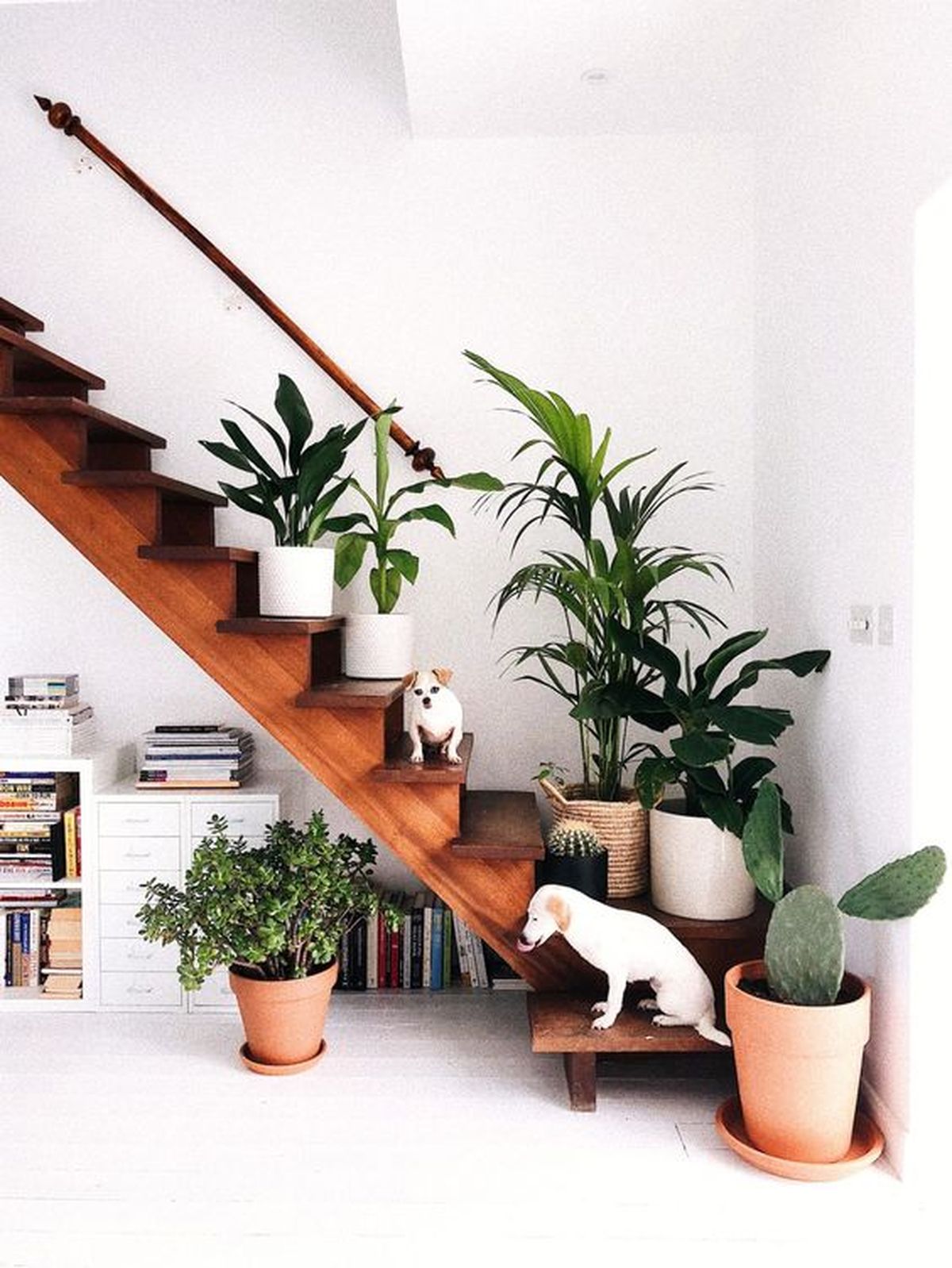 subida escalera decorada plantas 6