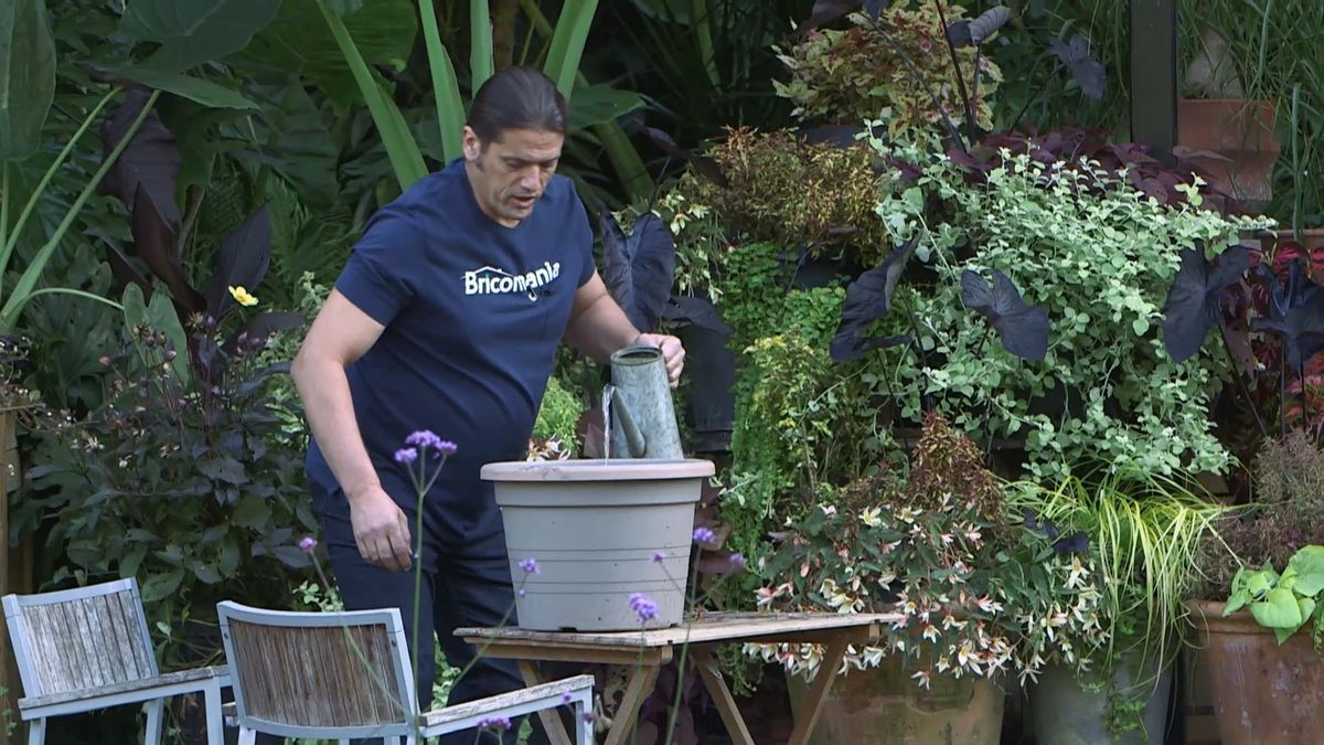 brico0963 3 esquejar coleos riego