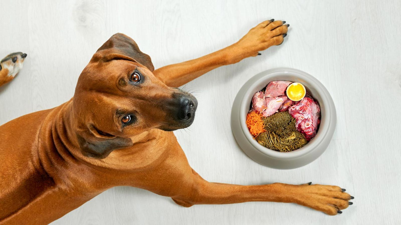 La carne cruda es la gran estrella de la dieta BARF