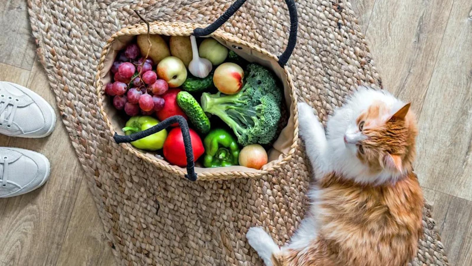 A los gatos les gustan las verduras más de lo que piensas.