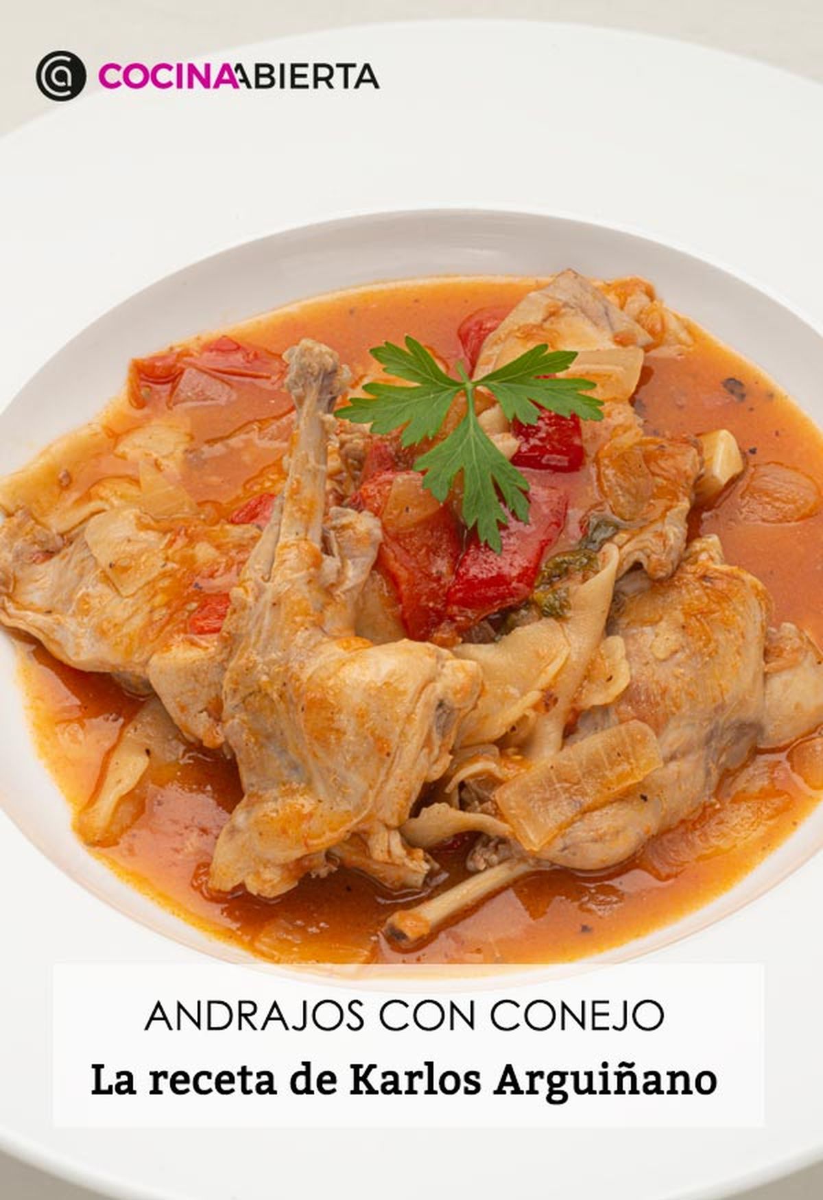 KARL66200320 receta andrajos con conejo presentacion
