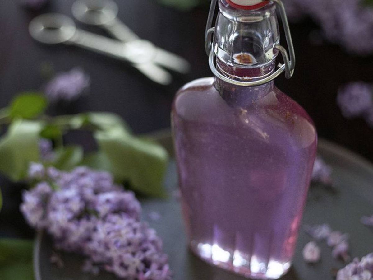 Elaboración casera de esencia de lavanda mediante destilación.