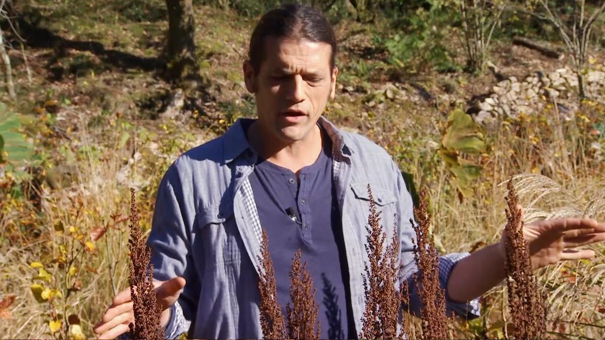 deco 602 astilbes altura en el jardin