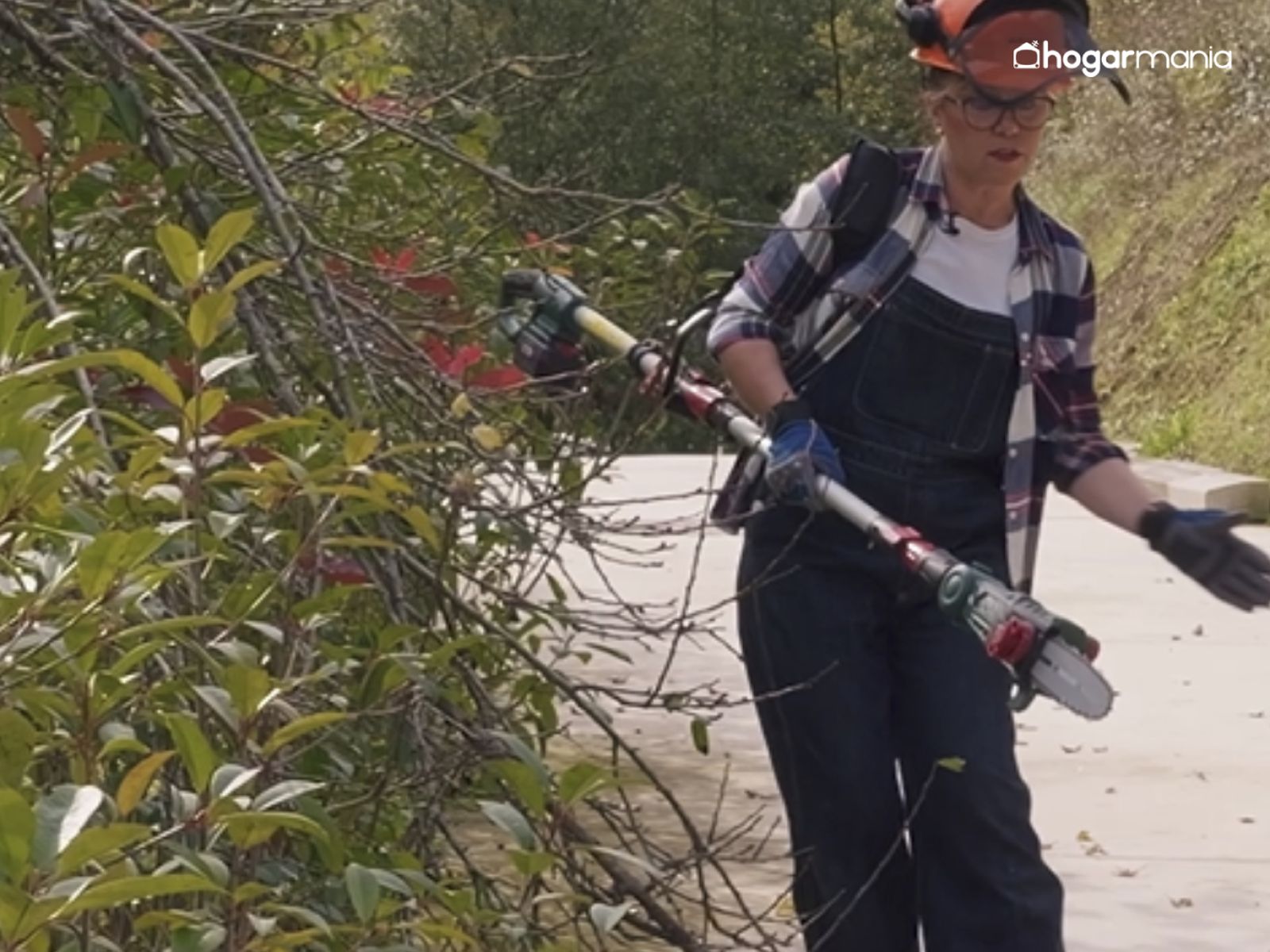 podadora Parkside Lidl jardin yolanda alzola Paso 1