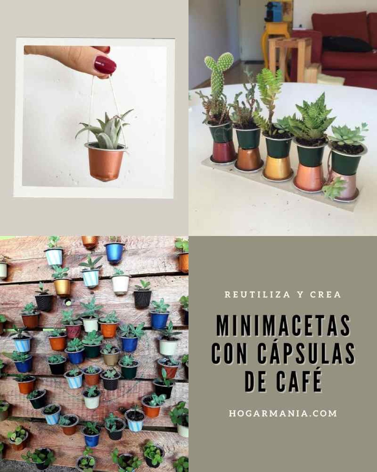 Mini macetas hechas con cápsulas de café / Imagen: Pinterest