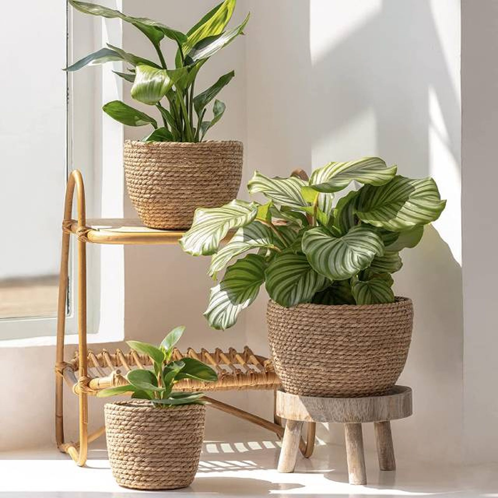 set 3 macetas fibras naturales amazon set 3 macetas fibras naturales amazon