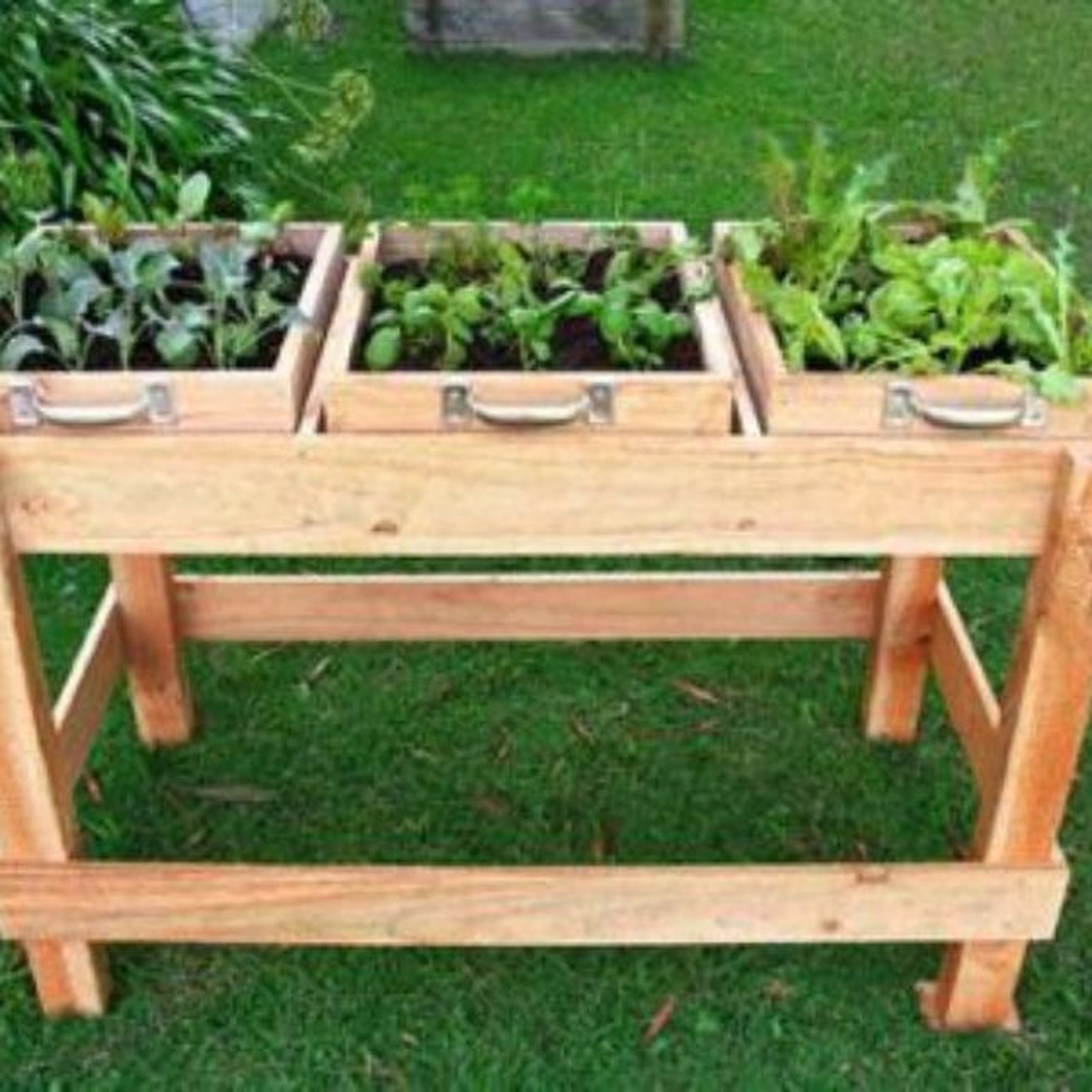 caja de vino en mesa de plantacion caja de vino en mesa de plantacion