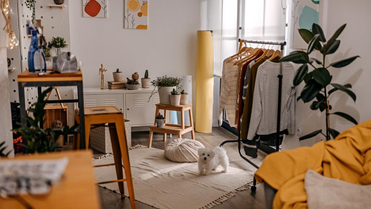 Las alfombras ligeras son estupendas para disimular imperfecciones en los suelos.