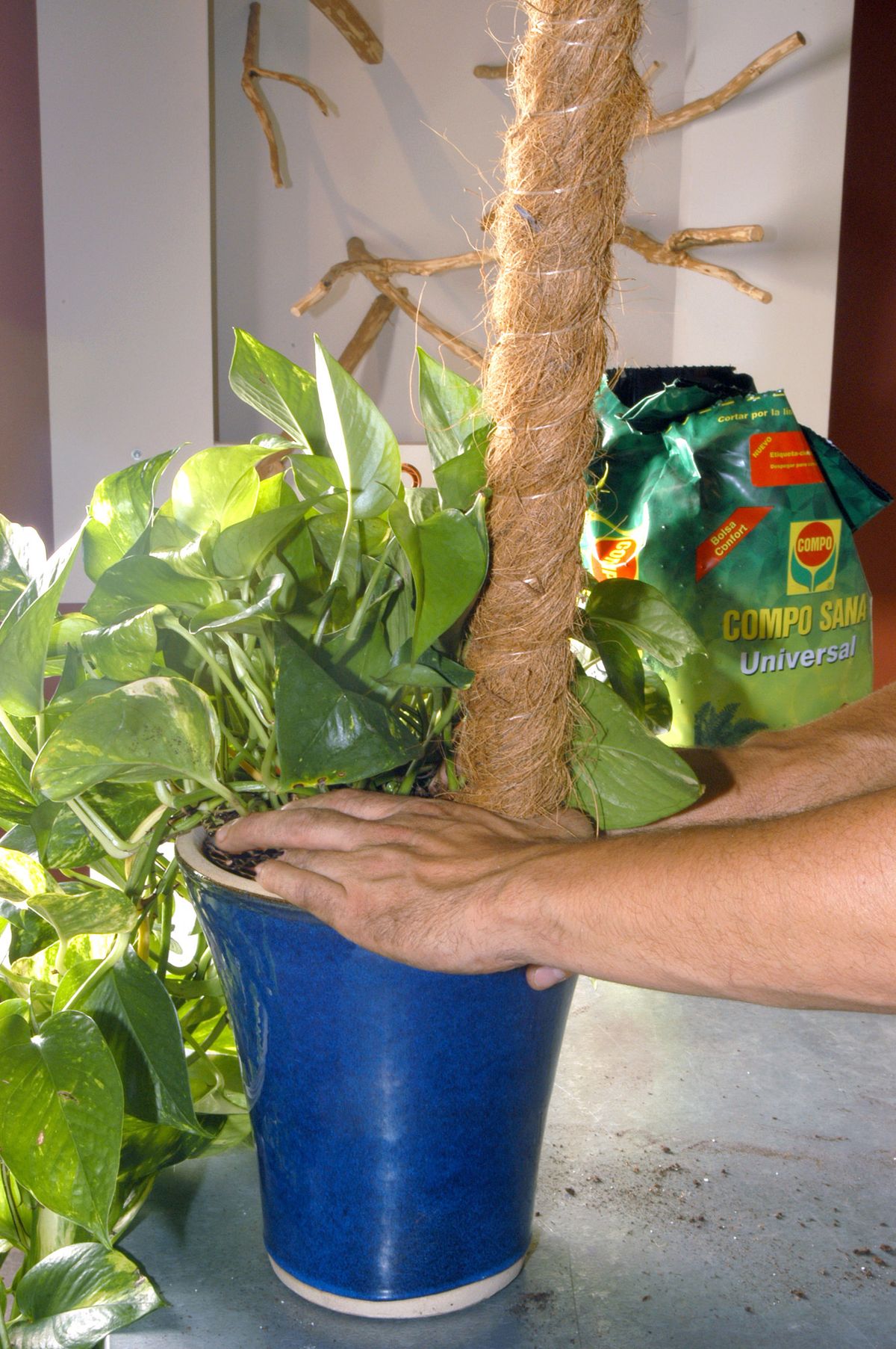 Convertir poto colgante en poto vertical p4