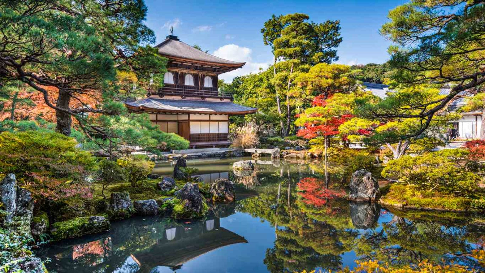 Un jardín japonés es un espacio pensado para conectar con la calma y la belleza de la naturaleza.