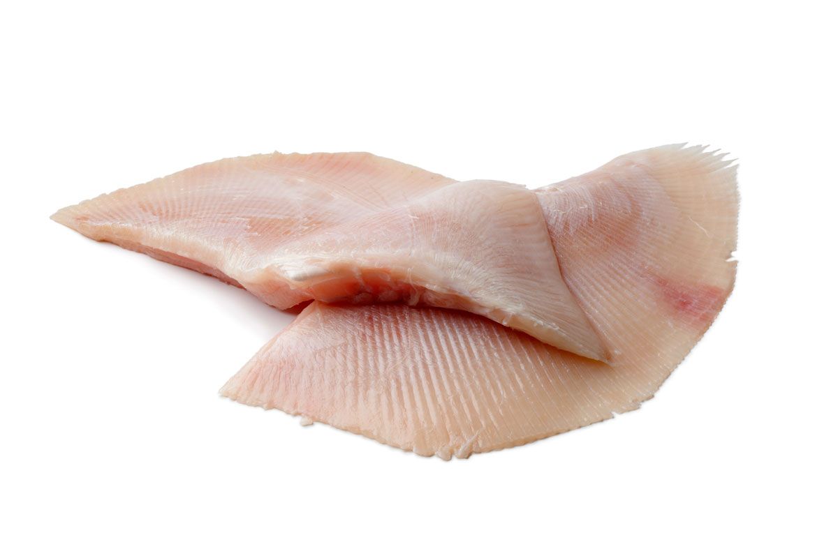 454 nutricion raya light xl