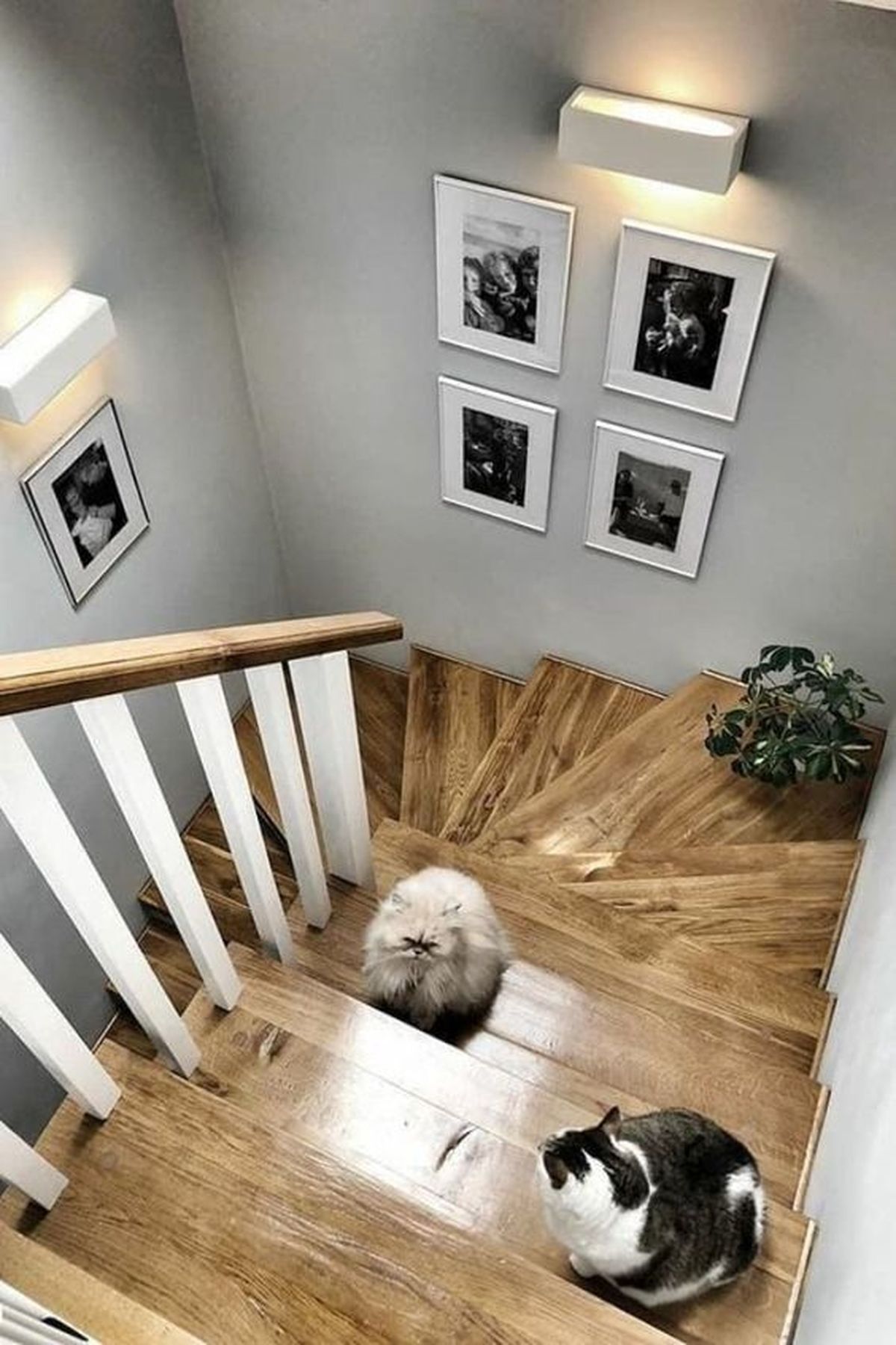 subida escalera decorada ilustraciones 5