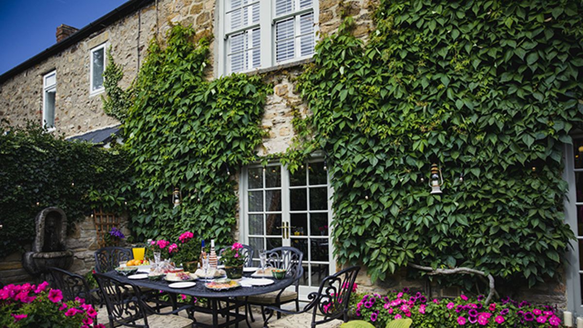 hiedra planta para decorar las fachadas