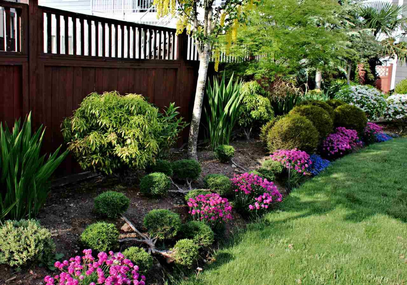 Existen una serie de alternativas al césped que prosperan en la sombra y transforman los jardines