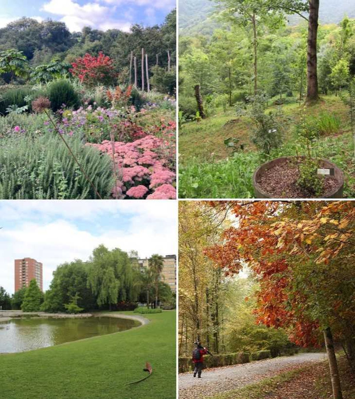 lur garden jardin botanico de iturraran jardin botanico ramon rubial de barakaldo jardin de bertiz otono