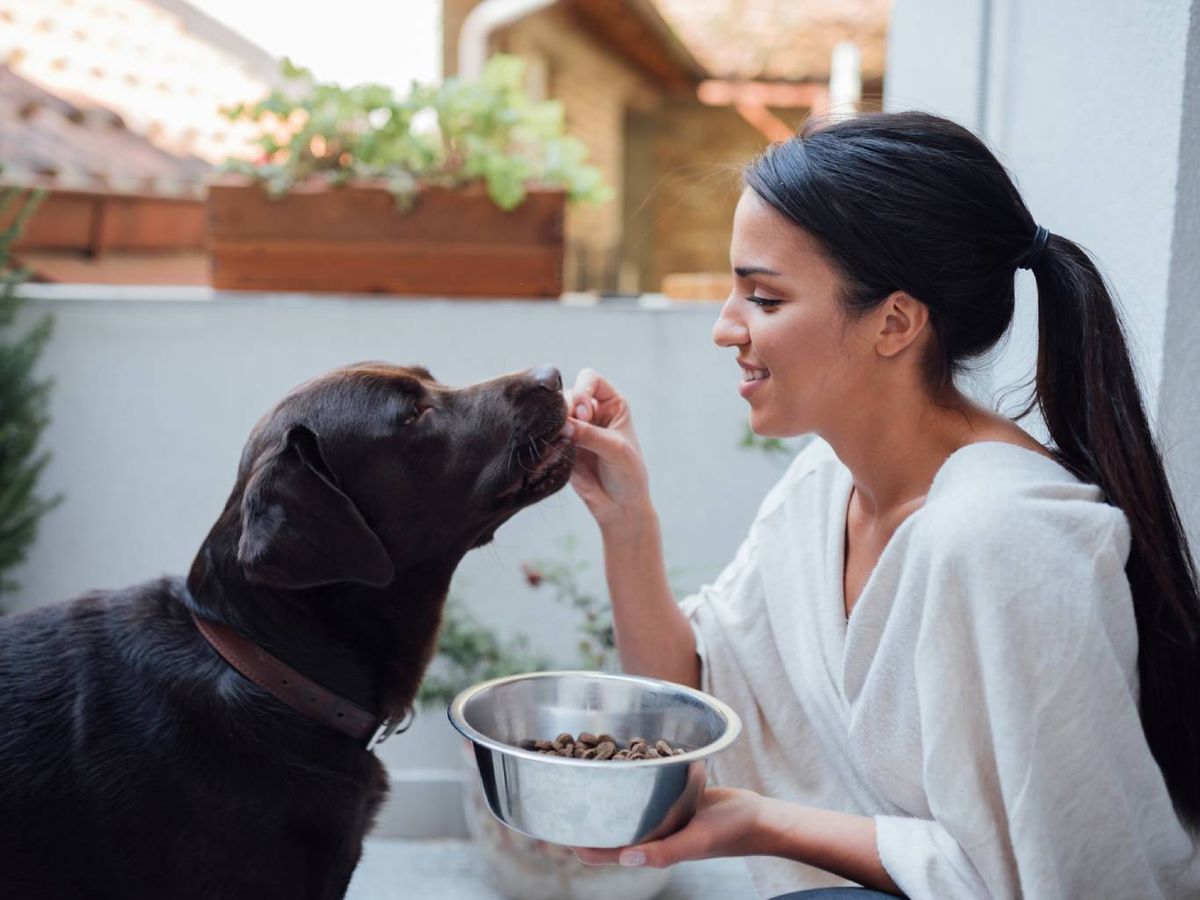 Es muy importante que observes siempre a tu perro, comprobar si sube o baja de peso.