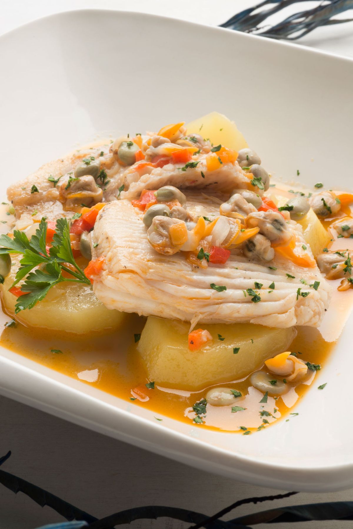 5344 cazuela raya xl