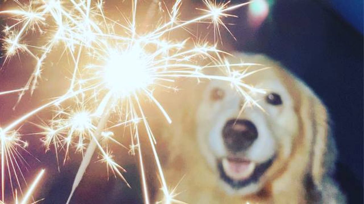 pirotecnia fiesta san juan miedo al ruido alternativas pirotecnia