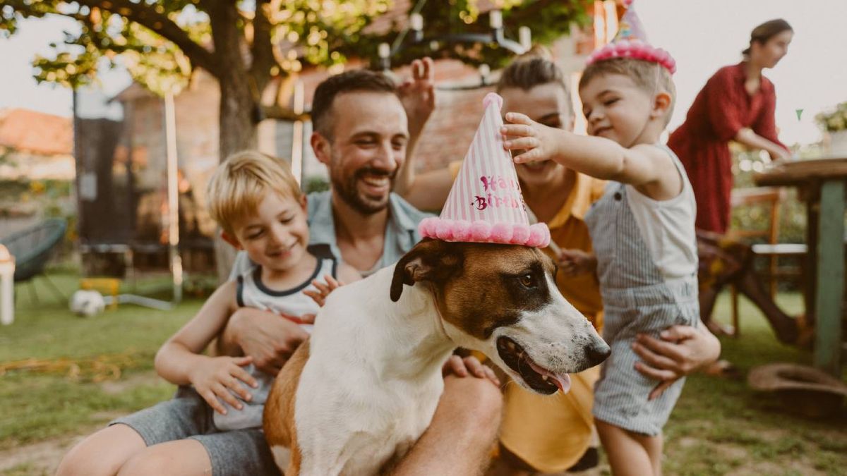 ¿Es raro hacerle una fiesta a tu perro?