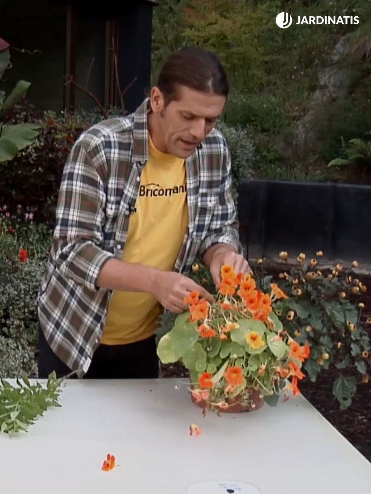 inigo segurola con planta capuchina brico 844