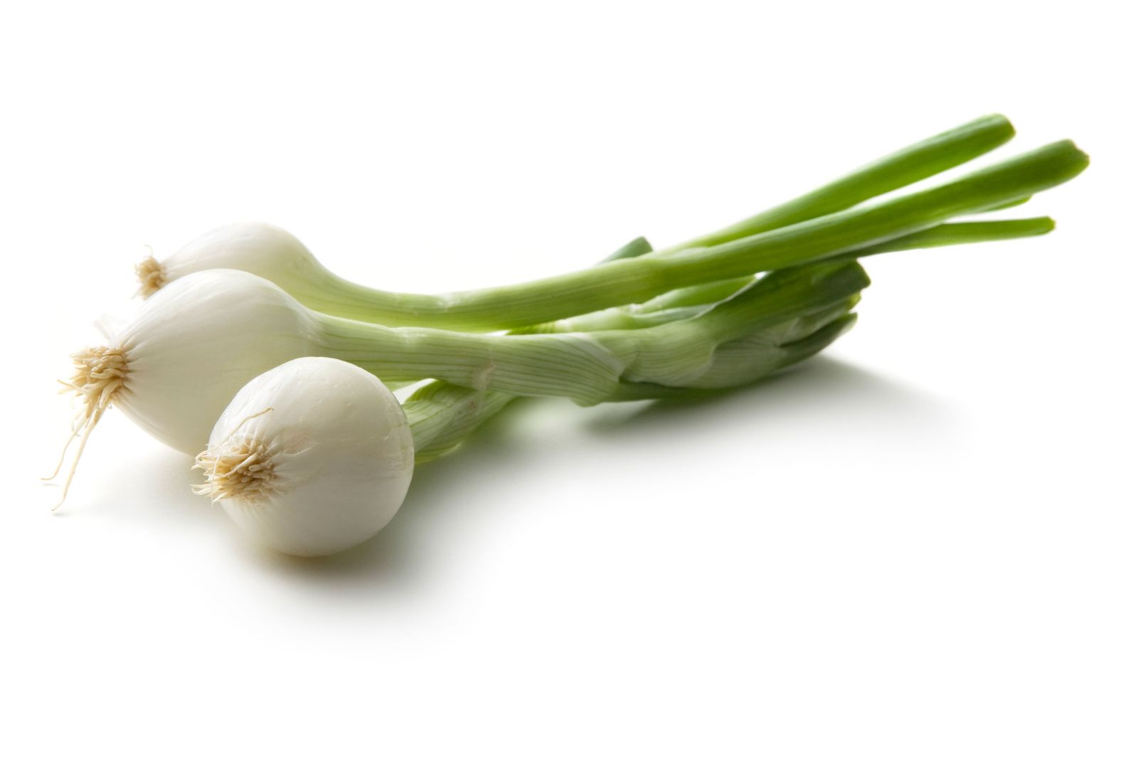 cultivar cebolletas