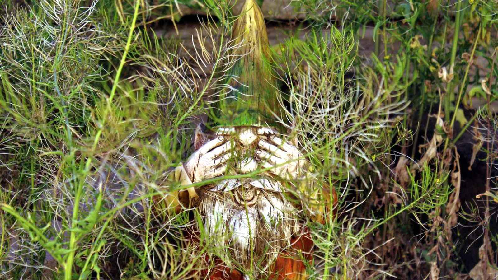 gnomos de jardin xl