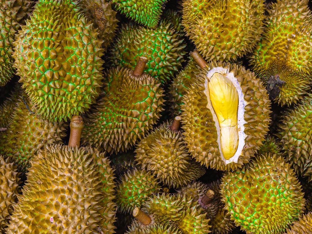 Fruta durian