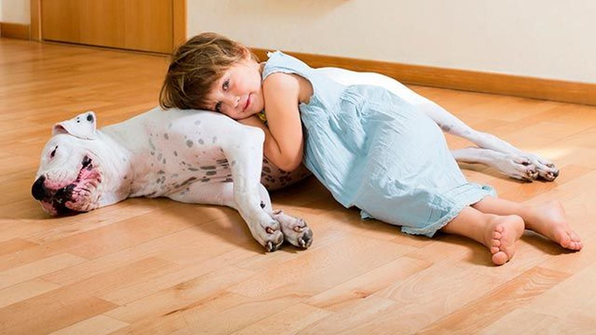 perros grandes niños