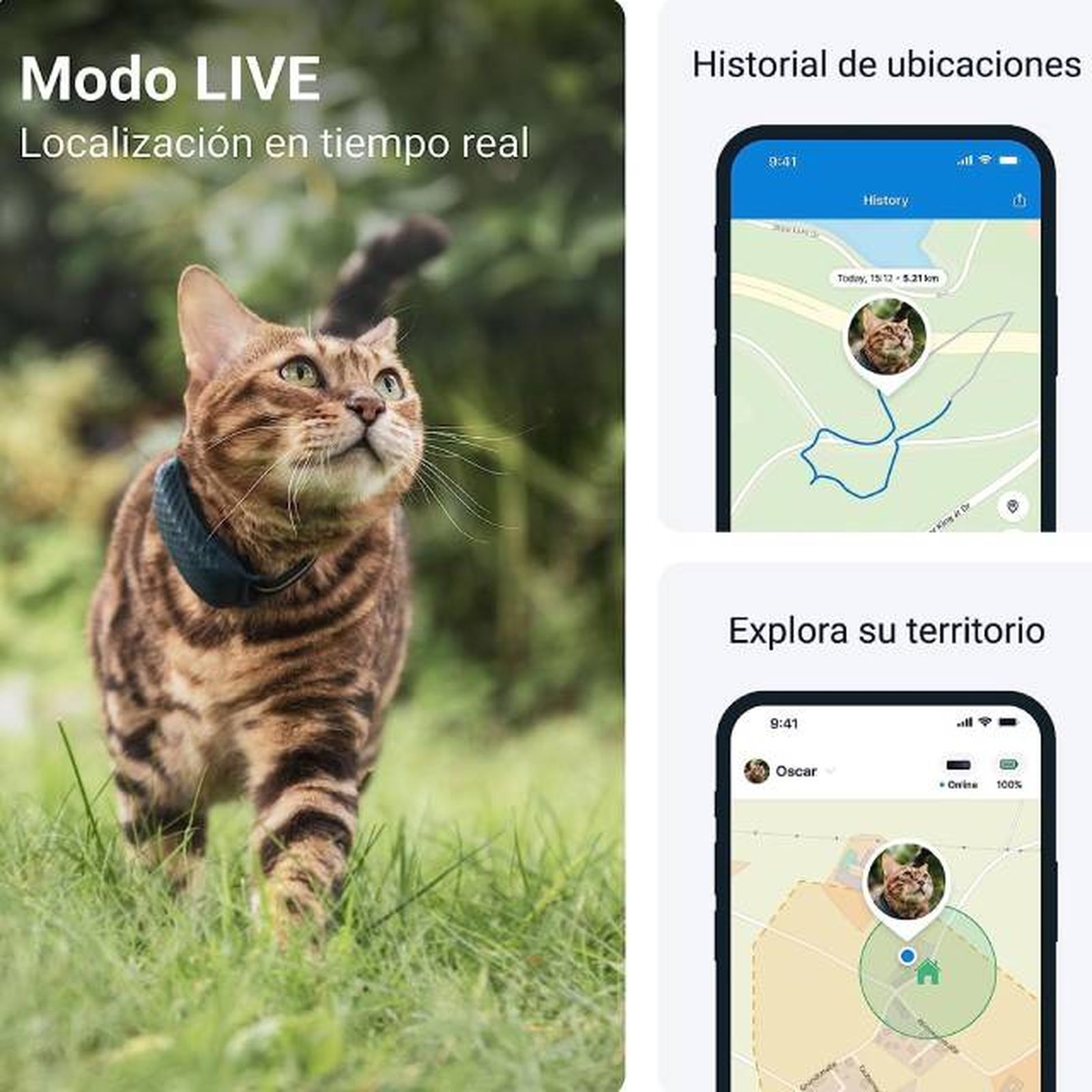 prooductos inteligentes para gatos localizador GPS en tiempo real prooductos inteligentes para gatos localizador GPS en tiempo real