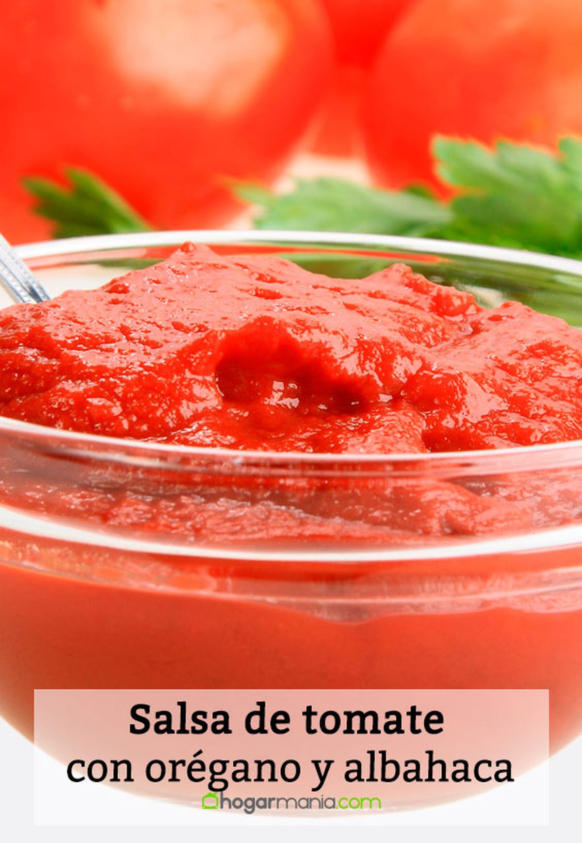 salsa tomate oregano albahaca pin