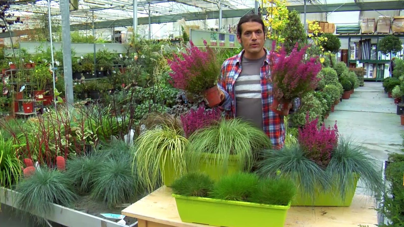 deco jardin 507 composiciones florales brezo gramineas xl deco jardin 507 composiciones florales brezo gramineas xl