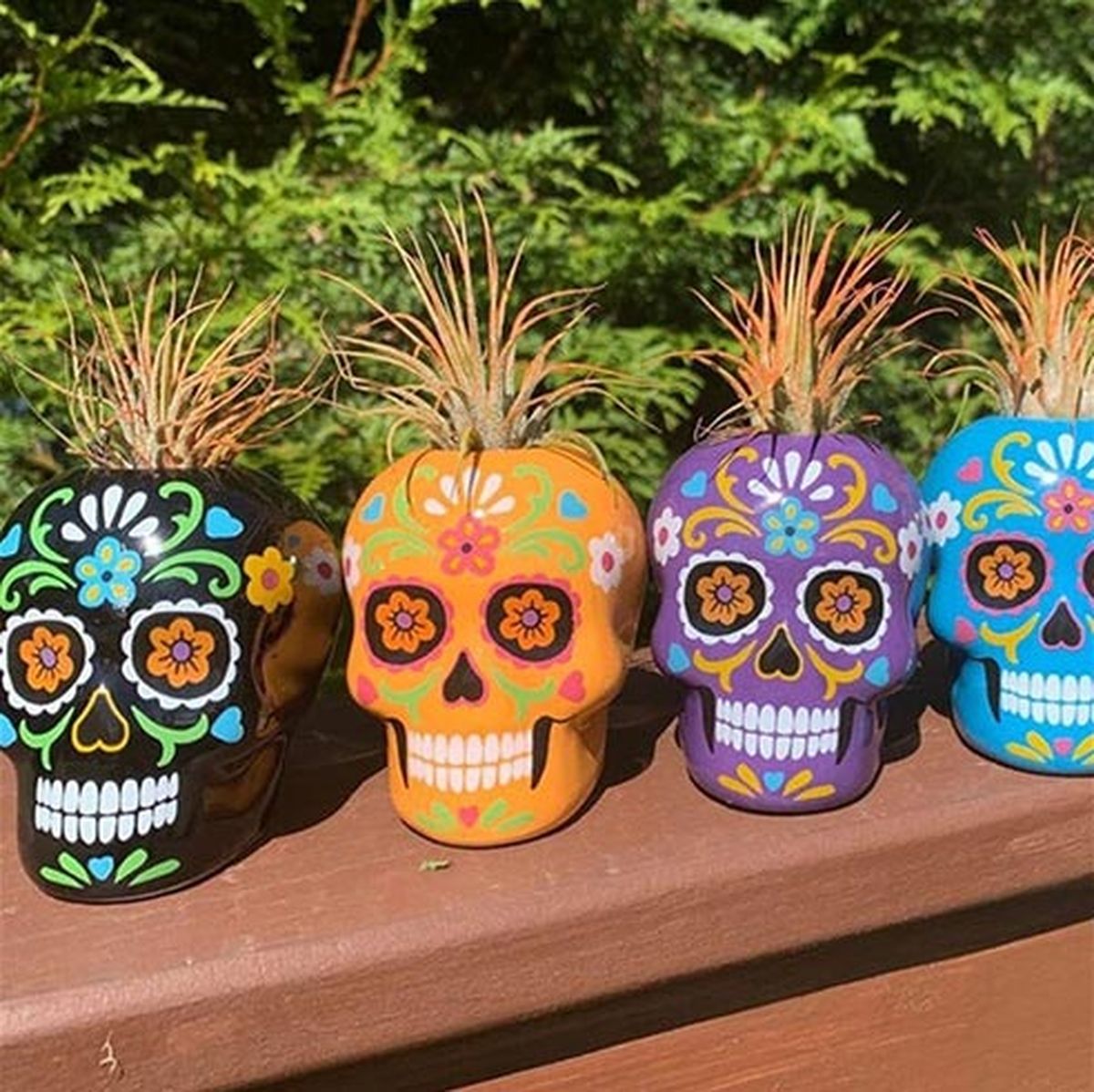 calaveras de colores maceta