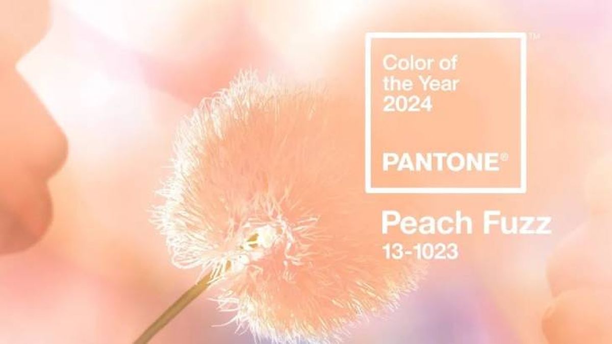 El color del año Pantone 2024 Peach Fuzz 2
