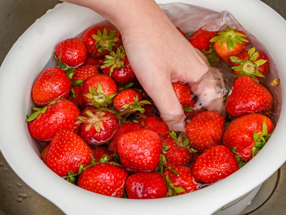La termoterapia consiste en sumergir las fresas en agua caliente y luego en hielo.
