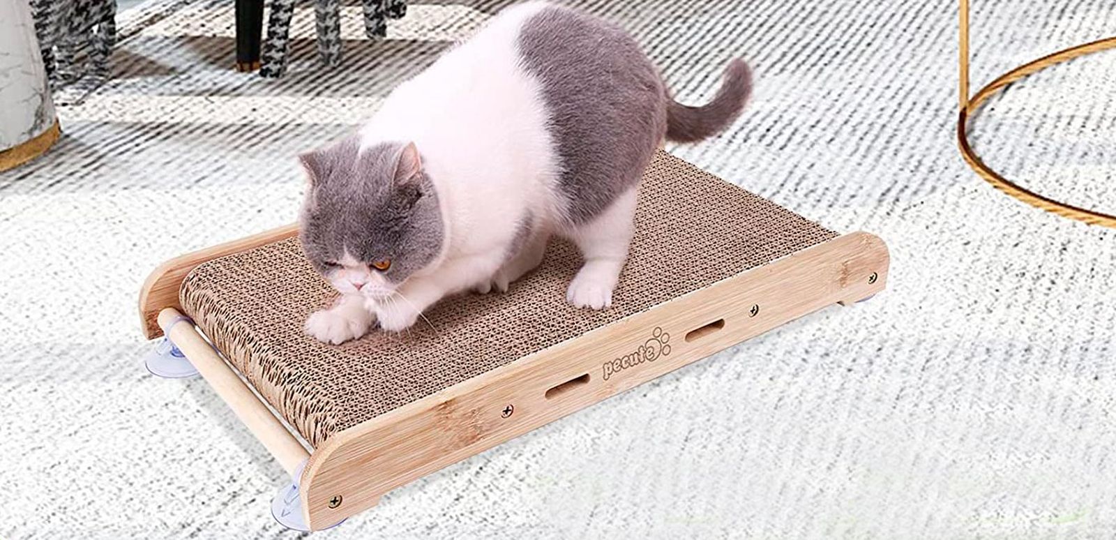 regalos gatos rascador alfombrilla carton regalos gatos rascador alfombrilla carton