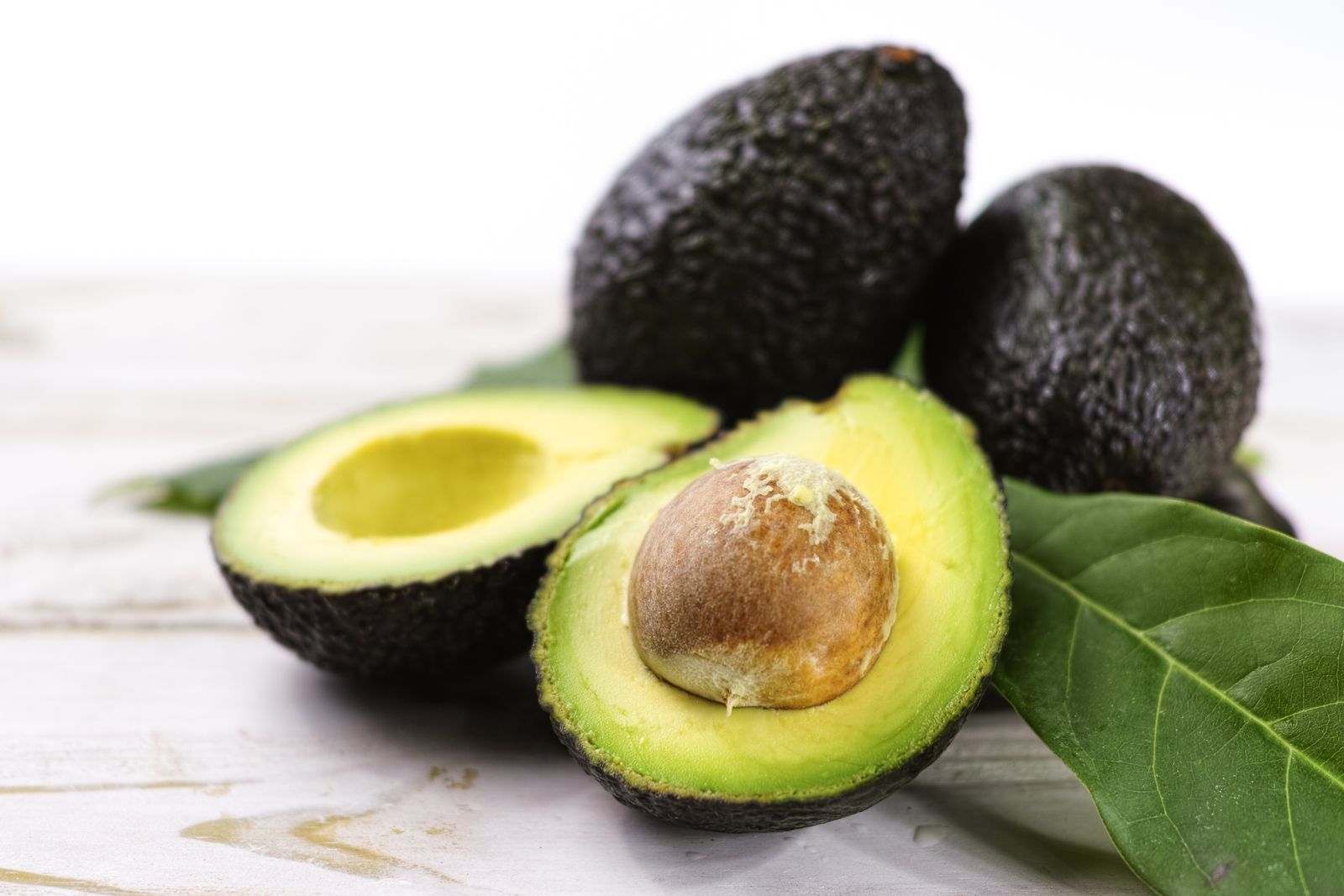 aguacate aguacate
