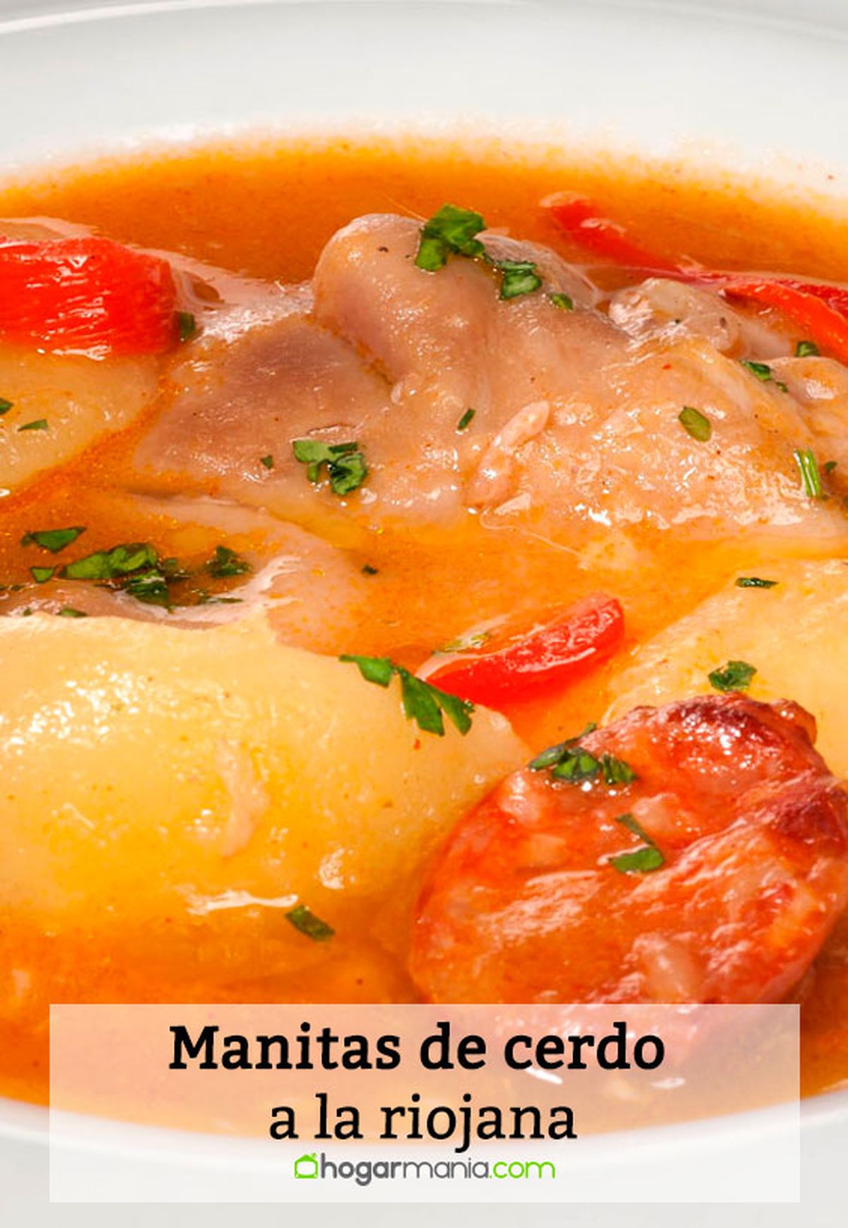 manitas cerdo riojana pin