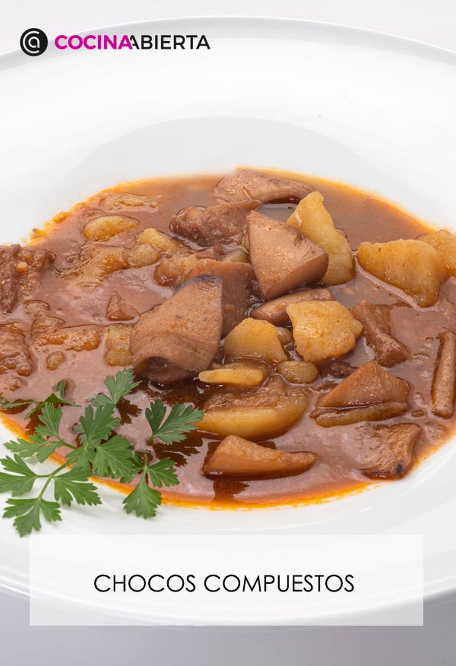 karl6638 chocos compuestos v