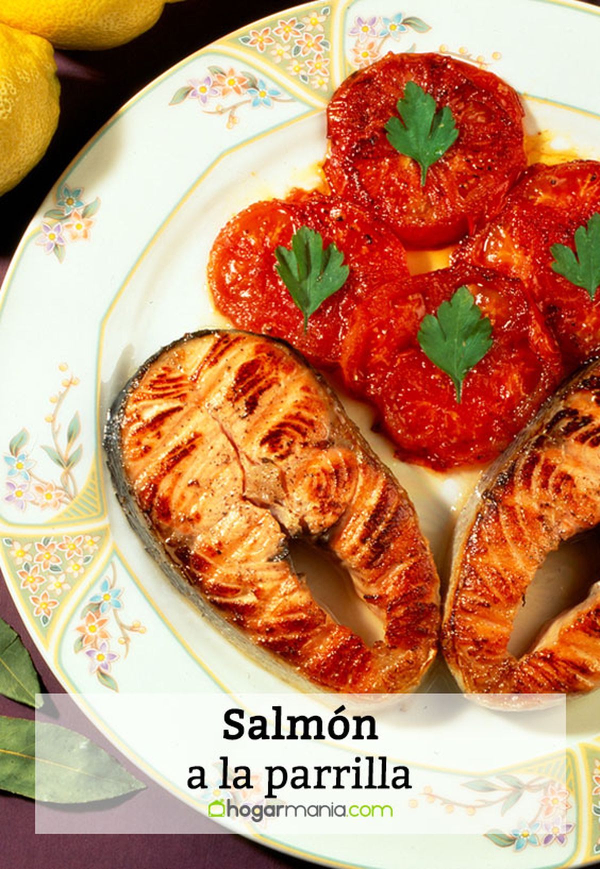 073 2 salmon parrilla pin