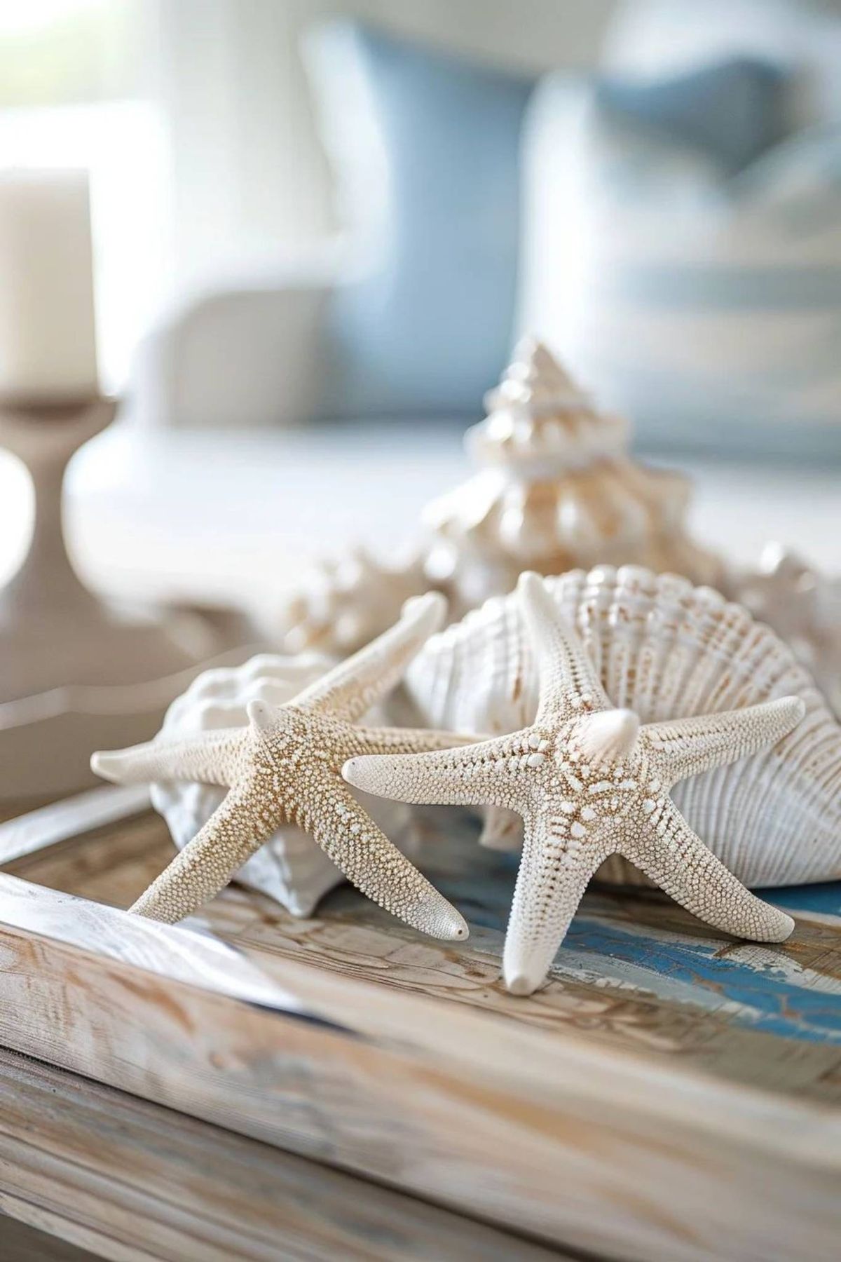 2 estrellas mar estilo coastal