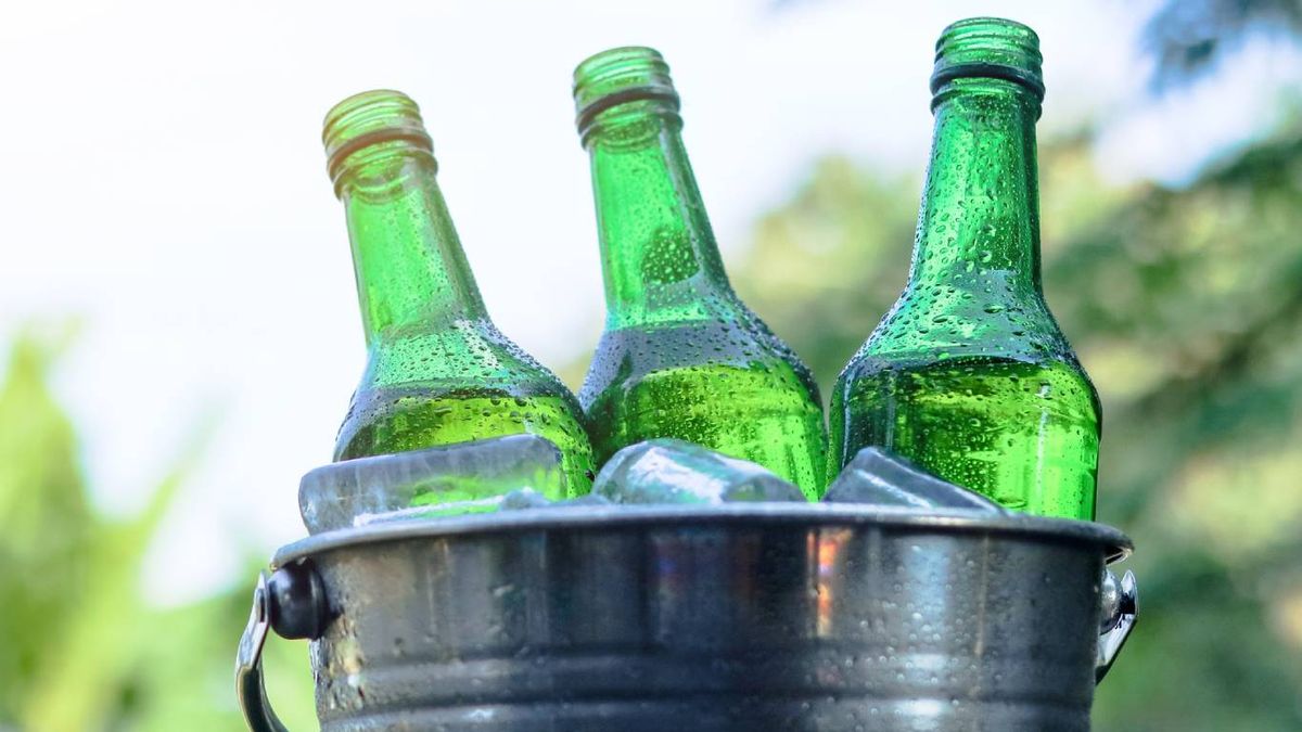 La cerveza también es para las plantas (y no es broma)