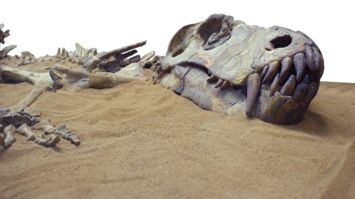 como eran los dinosaurios 4