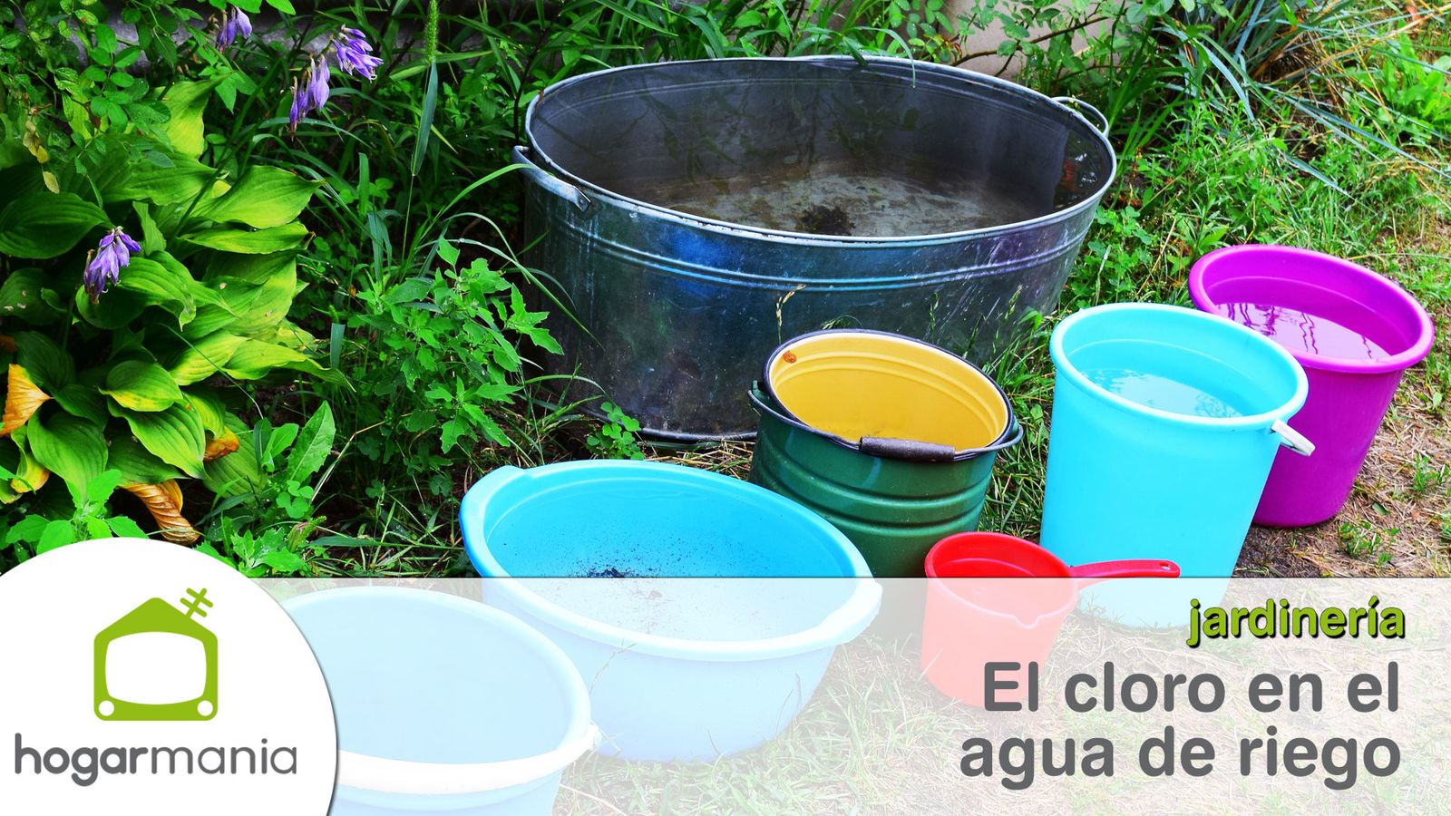 mejor agua riego sin cloro xl mejor agua riego sin cloro xl