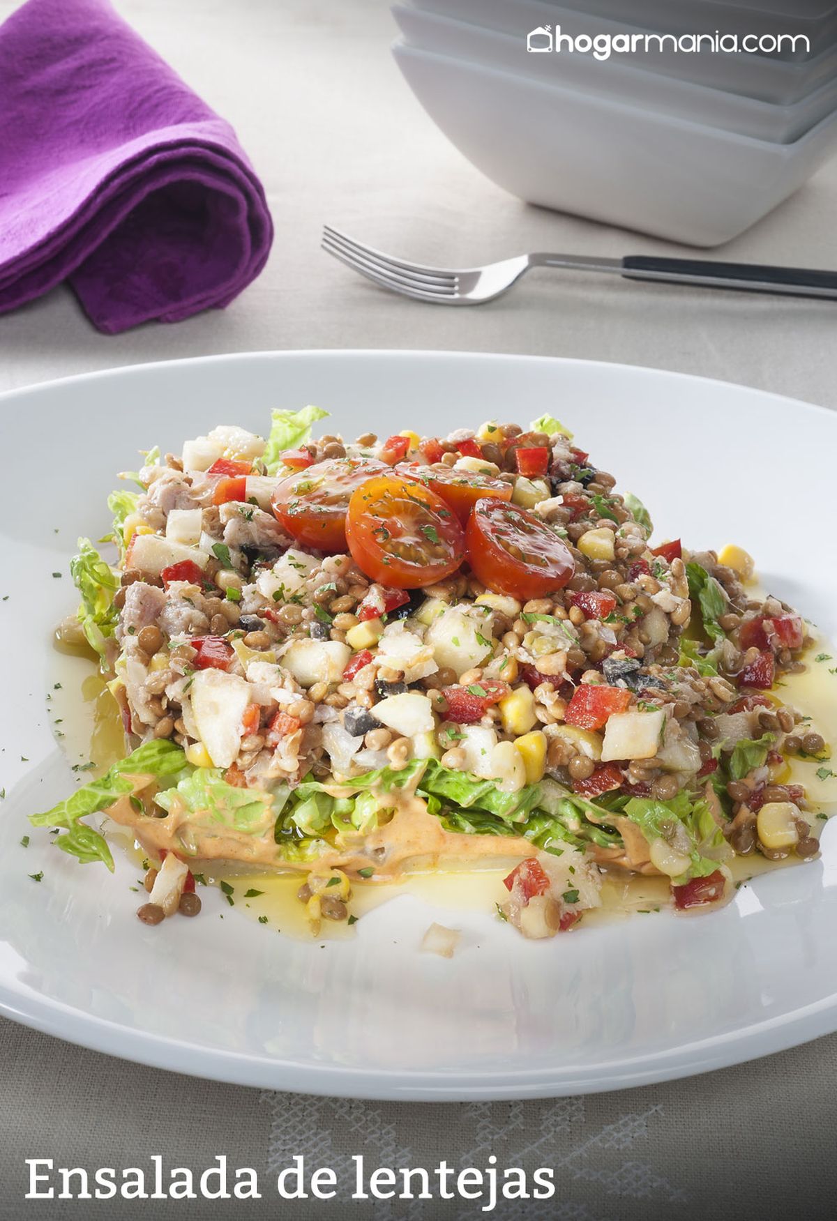 CABI0075 Amaia Ensalada de lentejas vertical xl