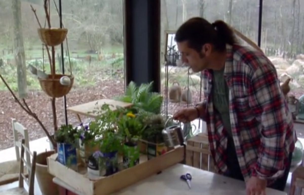 Plantar plantas aromáticas en bricks 4