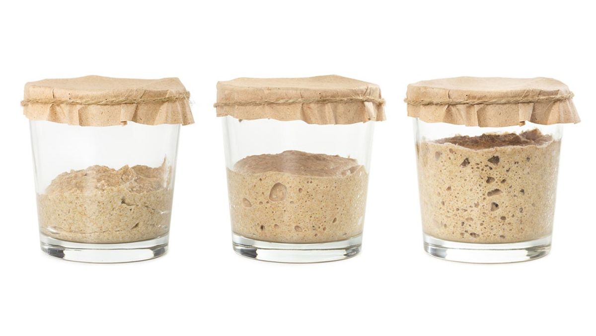 Cómo hacer masa madre natural para el pan casero  paso a paso de la masa