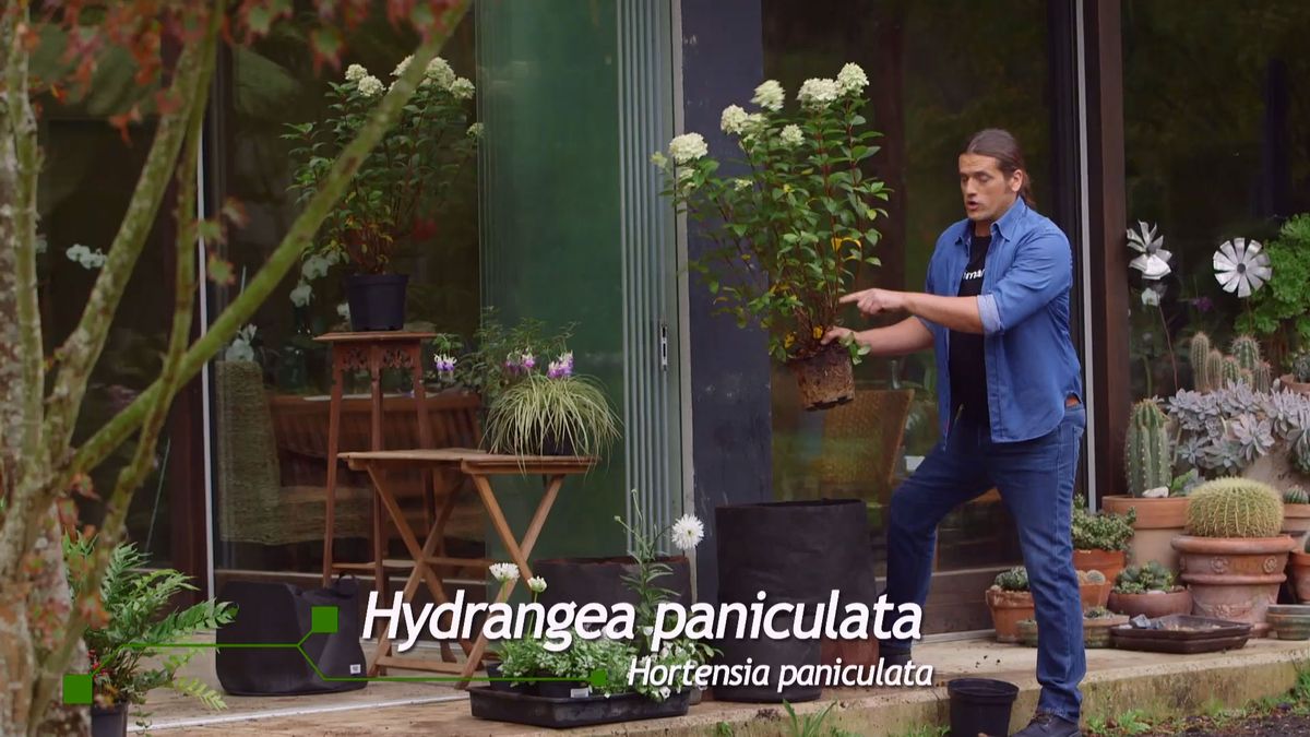 brico 0927 3 jardinera tela hortensia